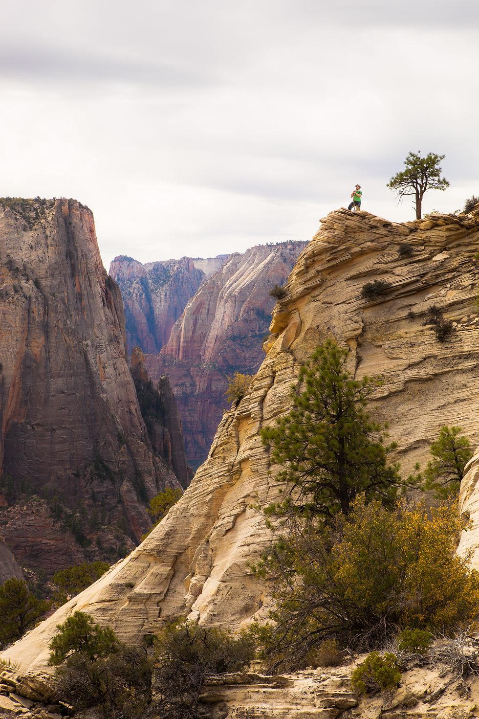 The Lookout (Zion N.P.)