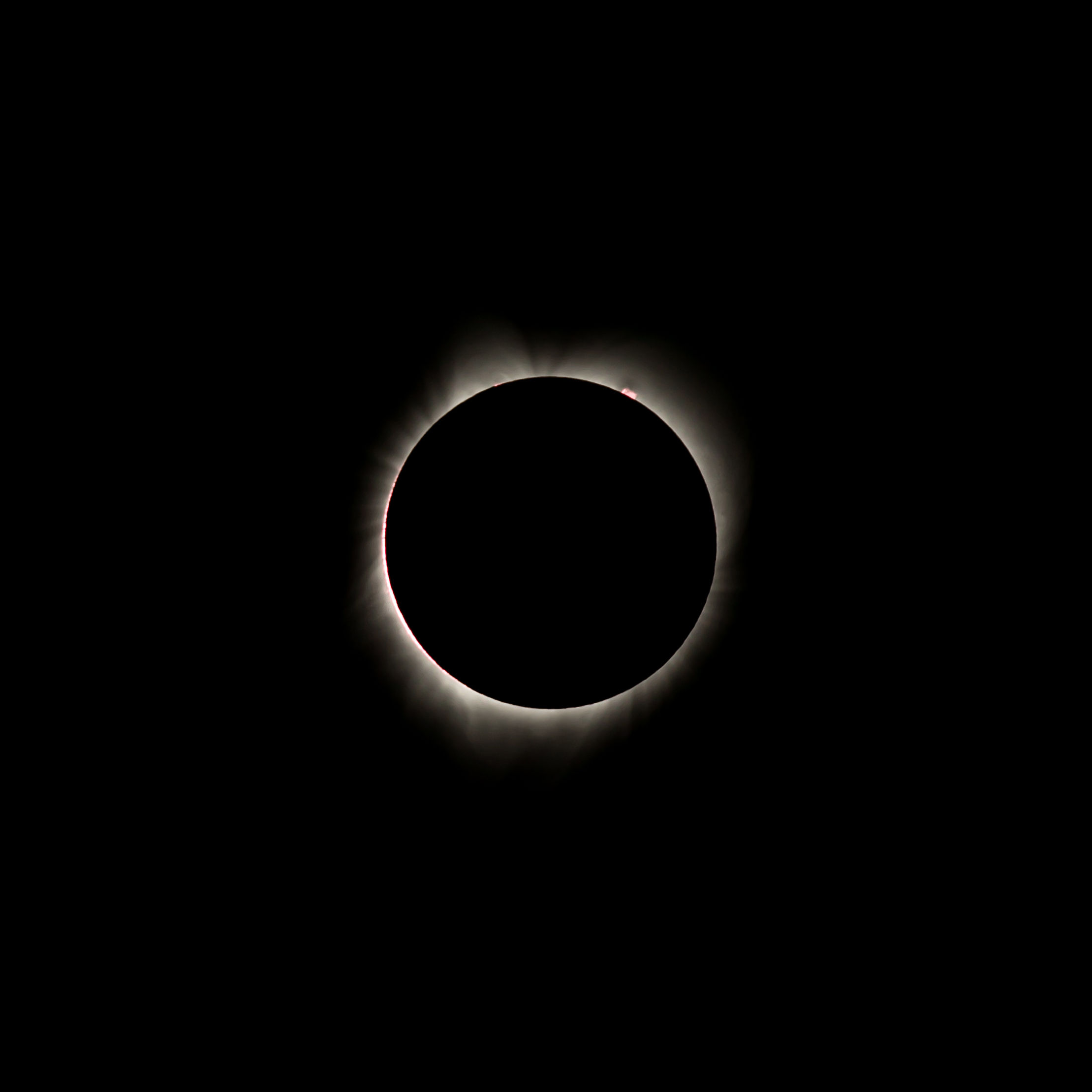 Great American Eclipse of 2017 - Corona During Totality (3)