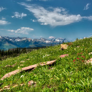 Highline Trail Hiker (Glacier N.P.)