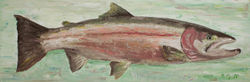 Steelhead