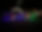 IMG_3638.jpeg