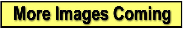 MORE IMAGES COMING.jpg