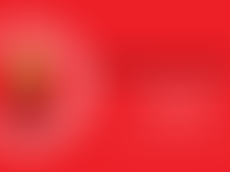 NIDSA General Meeting - April 2021