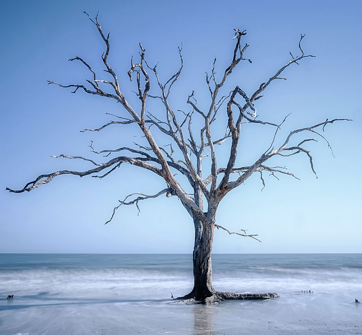 Edisto Island