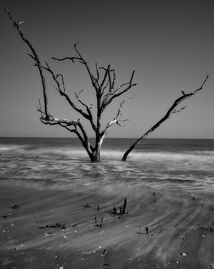 Driftwood Beach