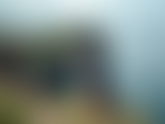 Best Places to See Puffins in Yorkshire