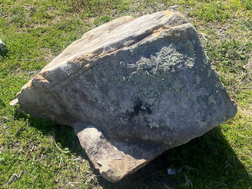 Inventory of our Living Stone.