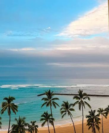 beautiful hawaii beach.jpeg