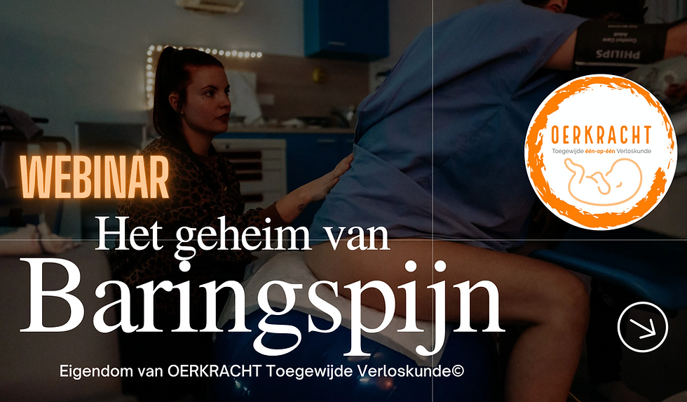 Scherm­afbeelding 2026-01-18 om 19.14.13.png