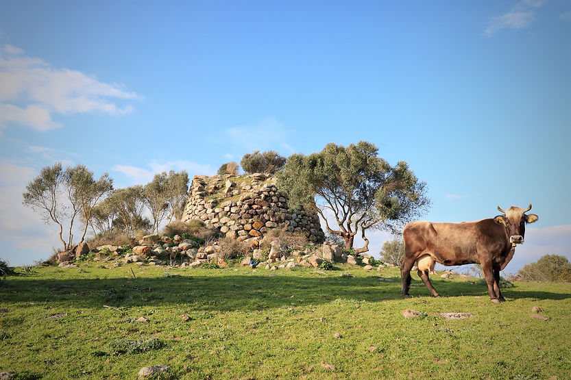 Nuraghe Ruju (Sedilo).jpeg