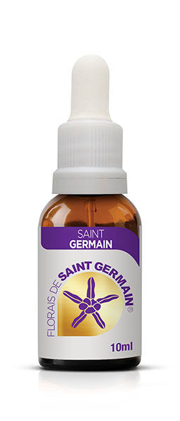 Saint Germain (Merremia macrocalyx)