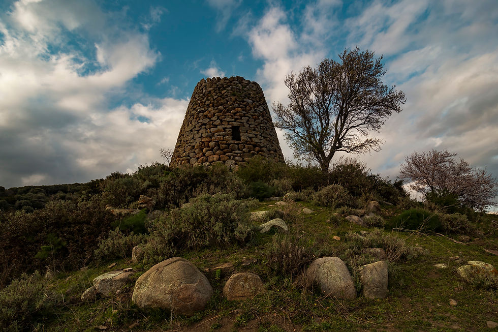 nuraghe, sardegna, cielo e nuvole, albero, resti di pietre, pietre