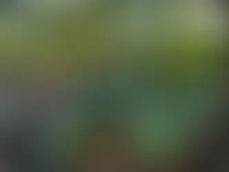 Jovens evangelizam nas férias e levam 200 ao batismo