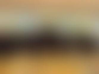 Delegação Brasileira em missão a Israel com o apoio da Hebrom Turismo