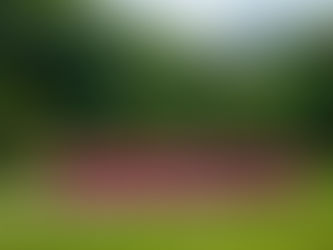 +QV realizará caminhada pró-Marcha para Jesus