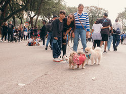 Participantes marcham para Jesus com seus pets