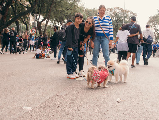 Participantes marcham para Jesus com seus pets