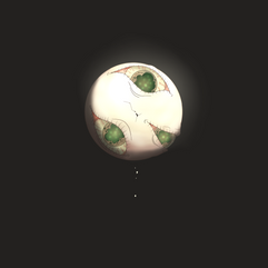 Assignment image1.png