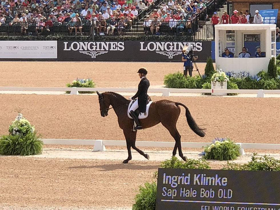 The World Equestrian Games in Tryon back in 2018 were nothing short of spectacular
