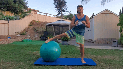 single leg squat with exercise ball