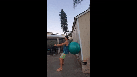 wall squat with exercise ball