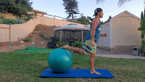 single leg dips with exercise ball