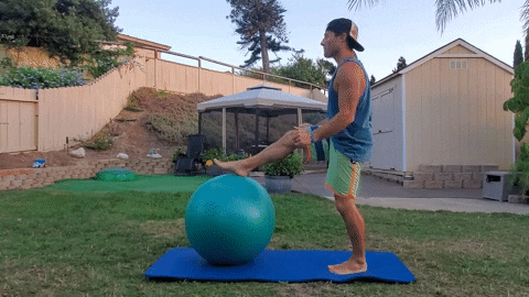 pike with exercise ball