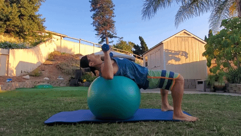 Workouts for Exercise Ball