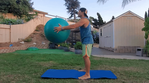 squats with exercise ball