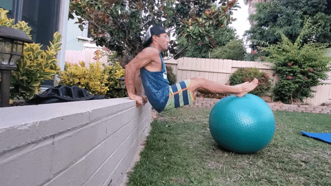 dips on exercise ball