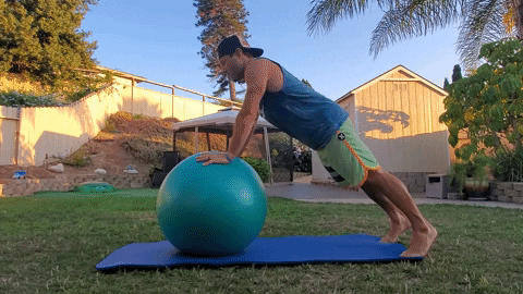 pushups on exercise ball