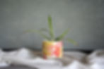 Pink and yellow plant pot handmade by Rachel Leary Ceramics