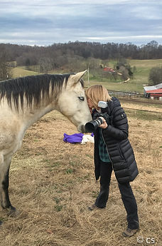 photographer and a horse