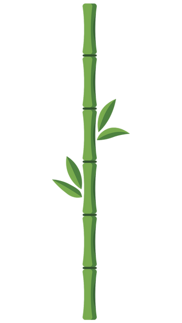 Stories.png