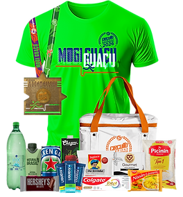 KIT PREMIUM.png