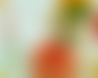 Smoothie de Melón con Limón  y Sandía