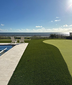 Artificial Turf