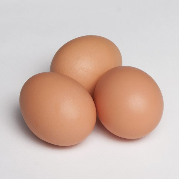 Thumbnail: Buff/Rock Hatching eggs