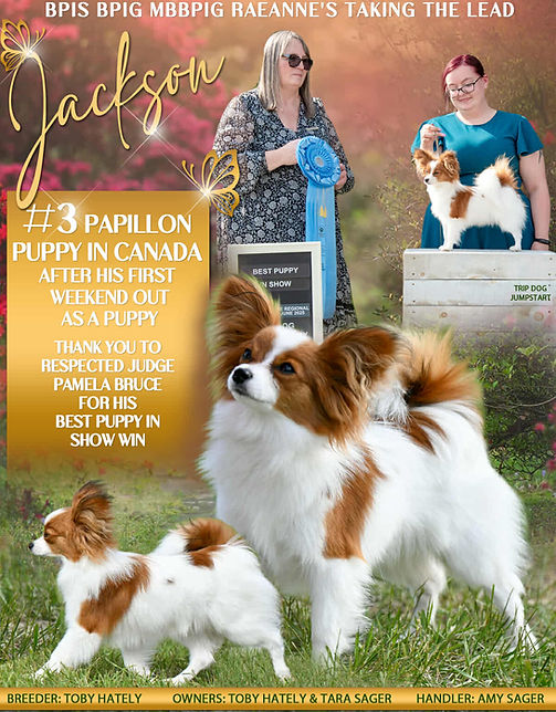 BPIS - June 2025.jpg