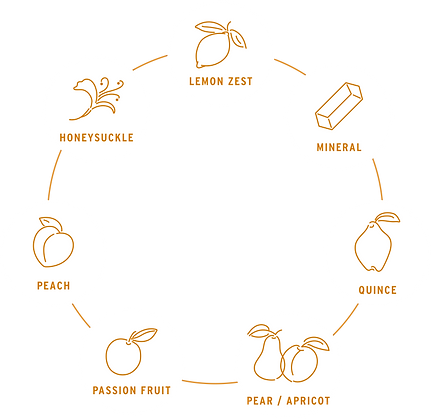 Five_XP_Our_Spirit_Bouquet_Diagram.png