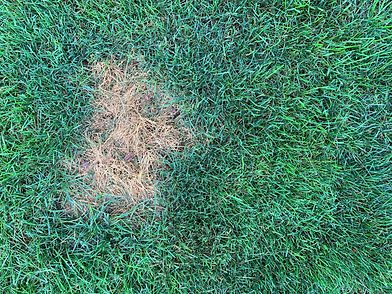 Dead Patch Repair.png