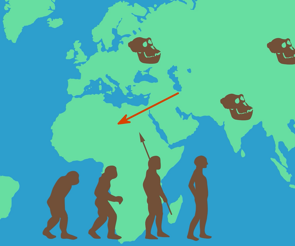 Frühe menschliche Entwicklung