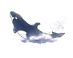 Whale breach Illustration edit_edited.png