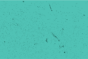Copy of WT_Texture 93 copy 12_3000px.png