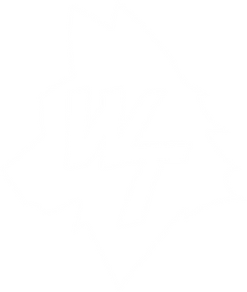 WT_transp_Artboard 112_1500px.png