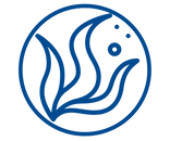 Diseño sin título - 2022-01-16T224907.620.png