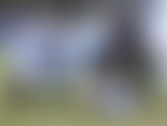 Спортивные результаты собак питомника Love & Spirit