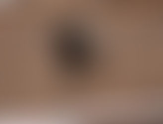 Лав энд Спирит Армина - 1 место по ОКД.