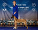 Love and Spirit Doris - CACIB, Best of Breed