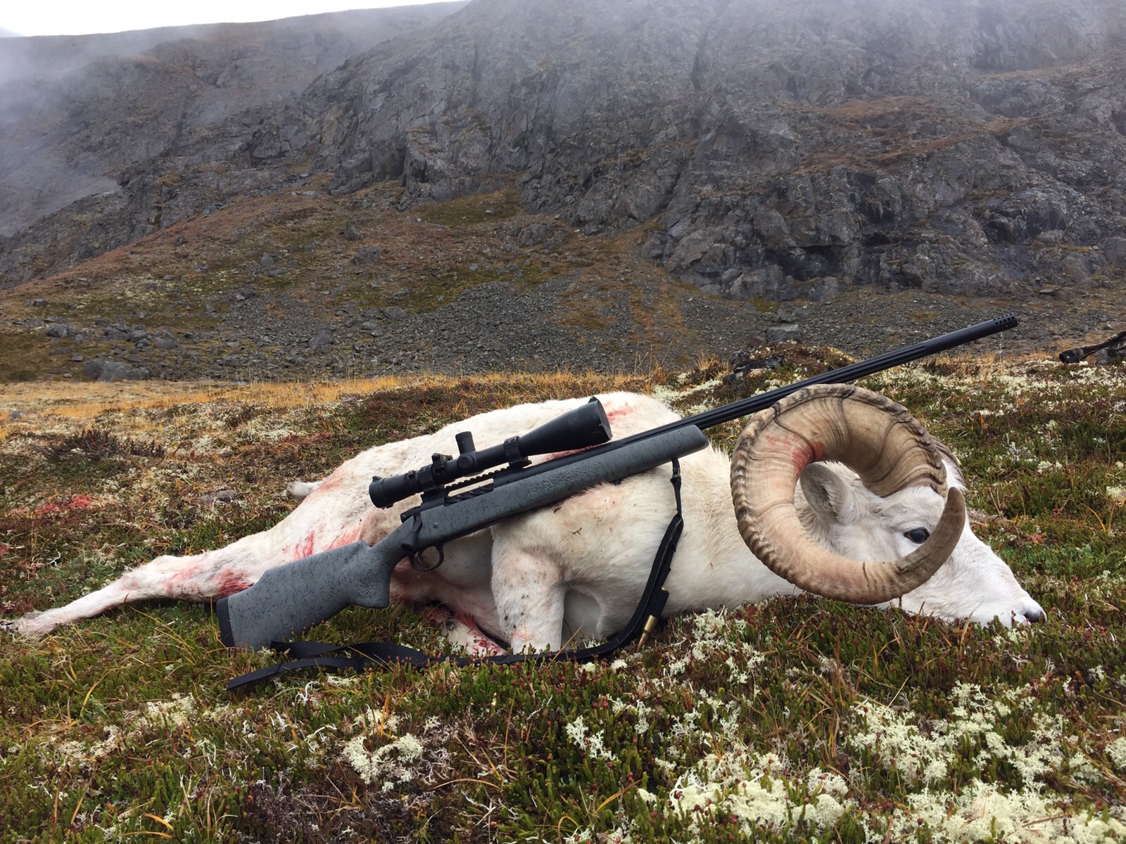 A.Martushev NW Backpacker Custom Rifle with Sheep.JPG